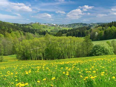 Wiesen bei Schöneck