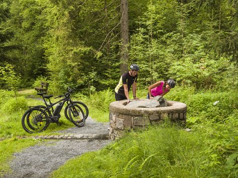 Muldequelle der Zwickauer Mulde in Schöneck