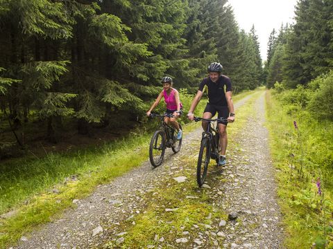 Mulderadweg bei Schöneck