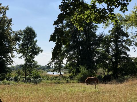 Landschaft an der Vereinigten Mulde in Bad Düben