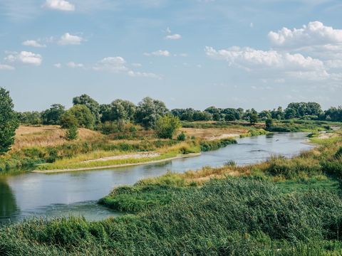 Landschaft, Fluss an der Vereinigten Mulde