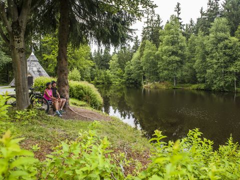 Meilerteich in Schöneck